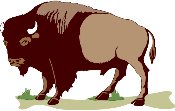 Free Buffalo Clipart