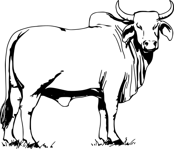 Free Bull Clipart