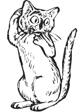 Free Cat Coloring Page Clipart