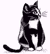 Free Cat Clipart