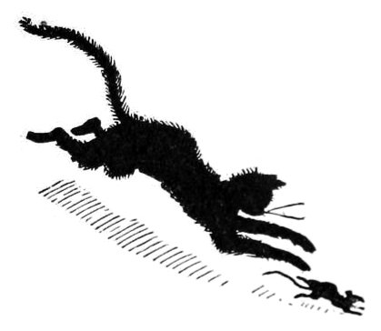 Free Black Cat Clipart