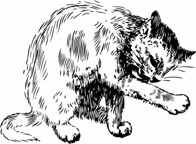 Free Young Cat Clipart