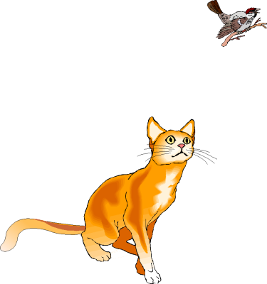 Free Brown Cat Clipart