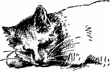 Free Cat Coloring Page Clipart