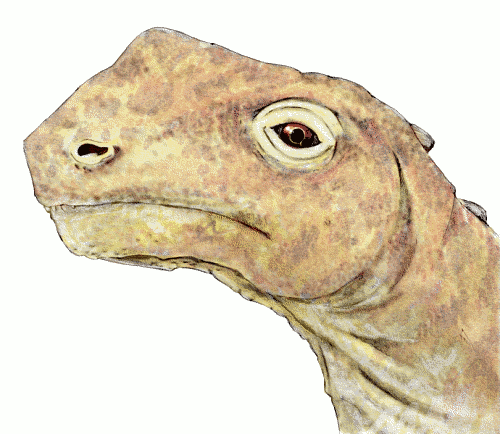 Free Dinosaur Clipart