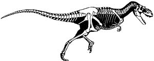 Free Dinosaur Clipart