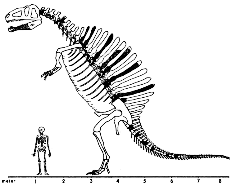 Free Dinosaur Clipart