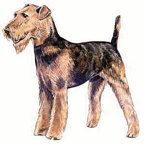 Free Dog Breeds A Clipart