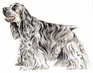 Free Dog Breeds A Clipart