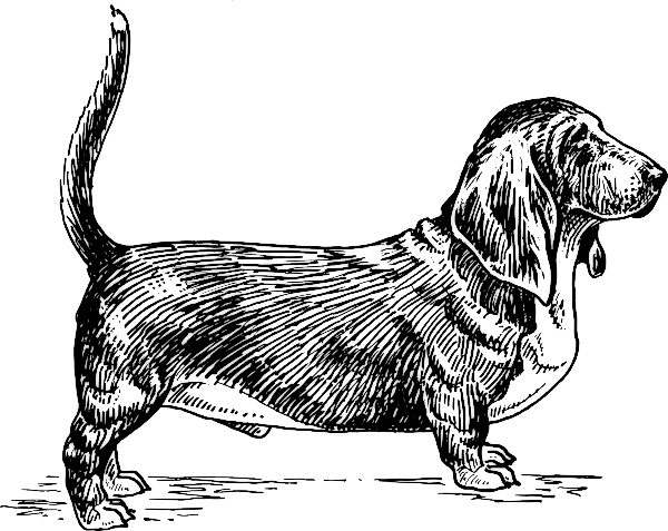 Free Black and White Dog Clipart