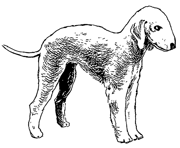 Free Dog Clipart