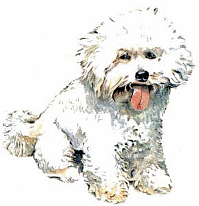 Free Dog Breeds B Clipart