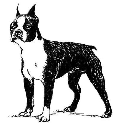 Free Black and White Dog Clipart