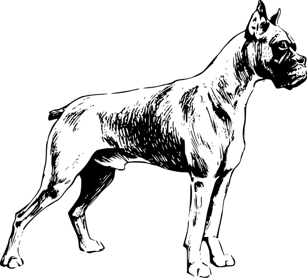 Free Dog Breeds B Clipart