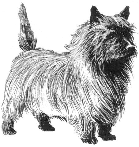 Free Black and White Dog Clipart