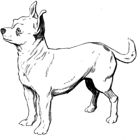 Free Dog Clipart