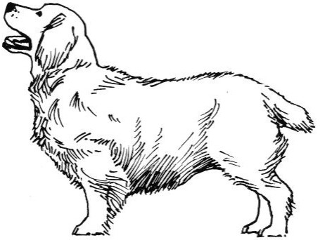 Free Dog Clipart