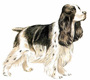 Free Dog Breeds C Clipart