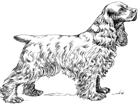 Free Black and White Dog Clipart