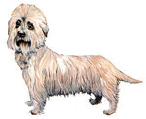 Free Dog Breeds D Clipart