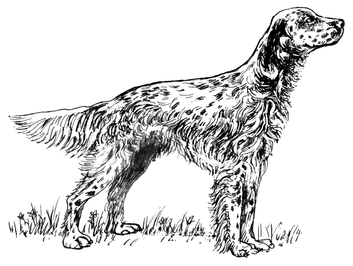 Free Black and White Dog Clipart