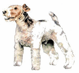 Free Dog Clipart