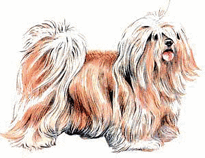 Free Dog Breeds L Clipart