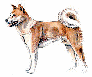 Free Dog Breeds A Clipart