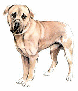 Free Dog Breeds M Clipart