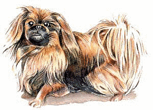 Free Dog Breeds P Clipart