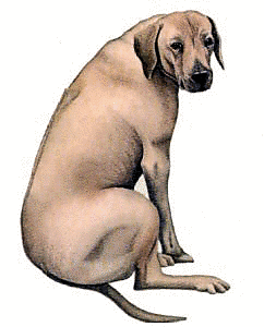 Free Dog Breeds R Clipart