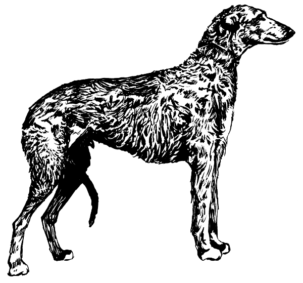 Free Black and White Dog Clipart