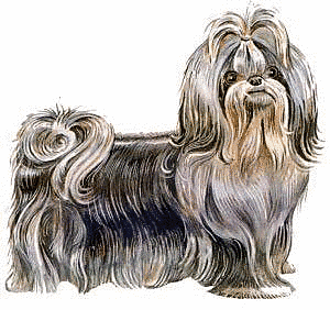 Free Dog Breeds S Clipart