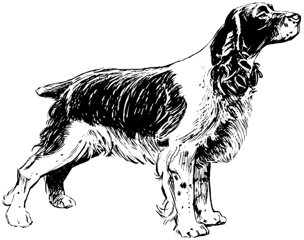 Free Dog Breeds S Clipart