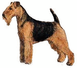 Free Dog Breeds W Clipart