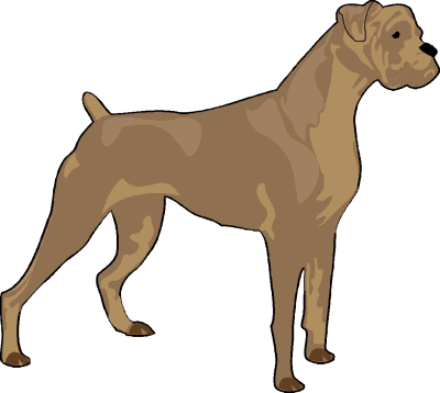 Free Dog Breeds B Clipart