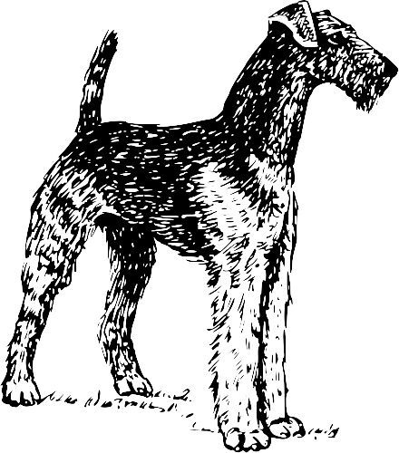 Free Dog Breeds A Clipart