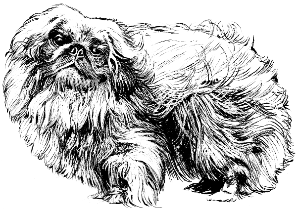 Free Dog Coloring Page Clipart