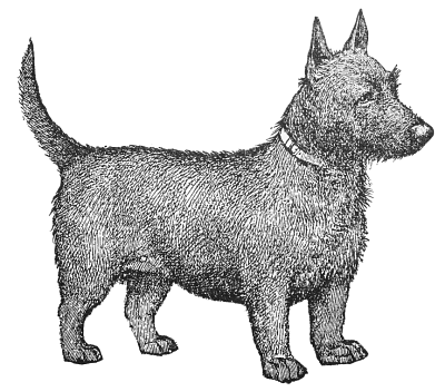 Free Dog Coloring Page Clipart