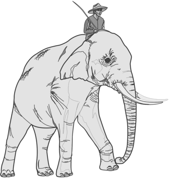 Free Small Eared Elephant Clipart