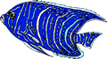 Free Blue Fish Clipart