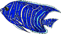 Free Striped Fish Clipart