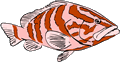 Free Red Fish Clipart