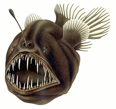 Free Angler Fish Clipart