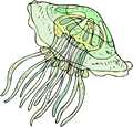 Free Jellyfish Clipart