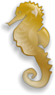 Free Seahorse Clipart