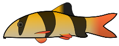 Free Fish Clipart