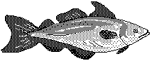 Free Fish Clipart