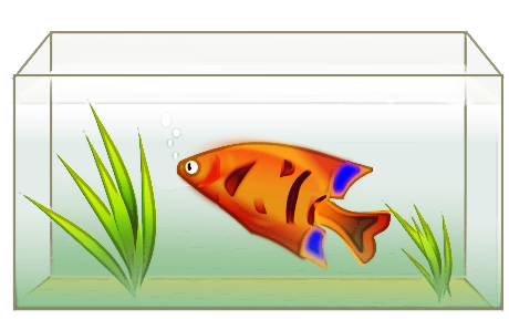 Free Aquarium Fish Clipart