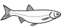 Free Black and White Fish Clipart